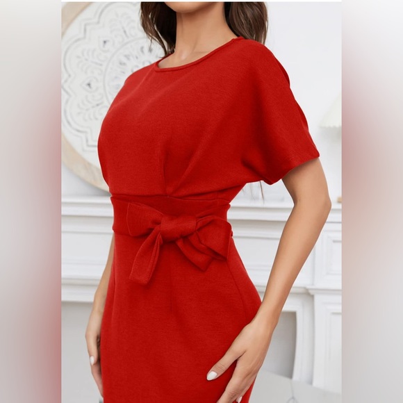 Red short sleeve dress with belt, Large BNWT - Picture 3 of 15